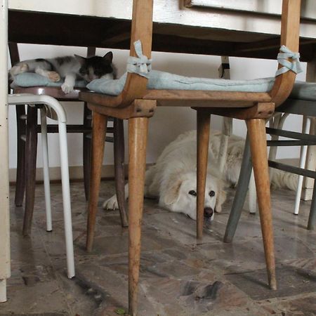 شقة Casa Formica San Pietro di Recanati المظهر الخارجي الصورة